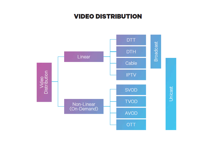 Video Distribution
