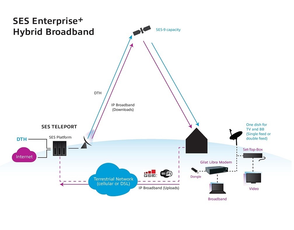 Enterprise Plus