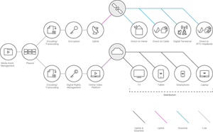 Video ecosystem diagram