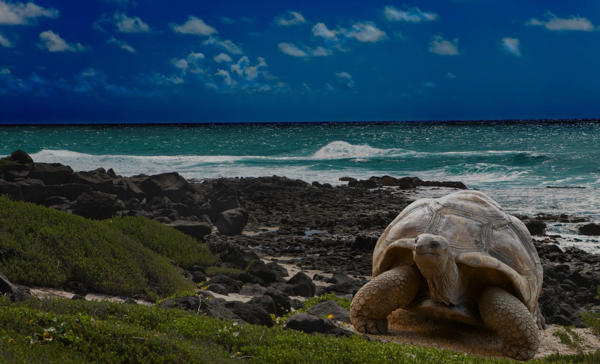 Galapagos