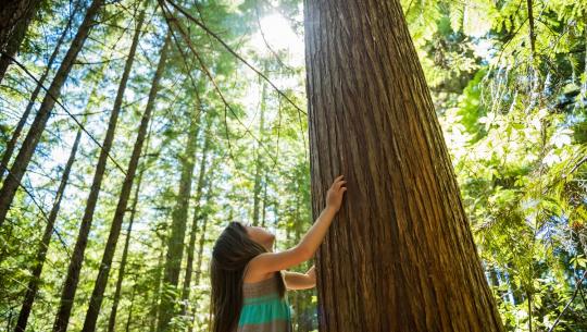 Girl and Tree