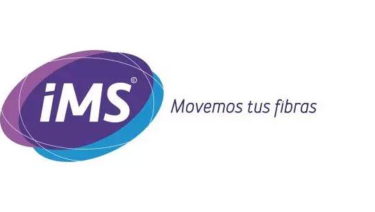 IMS logo