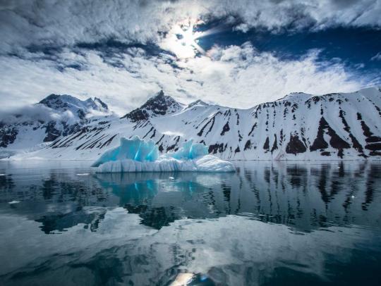 SES_Blog_climate_activism_banner_image
