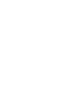 SES Icon Globe