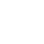 SES_Icon_BusinessOpportunities_White_RGB