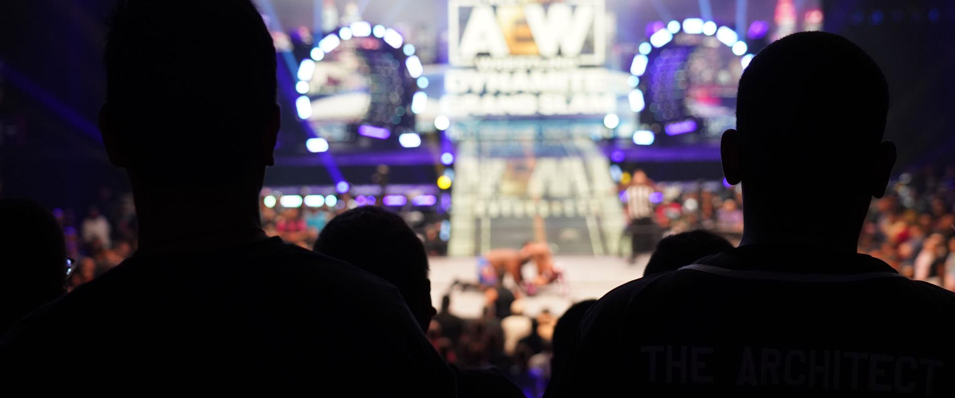 Silhouettes watching a wrestling match from the audience