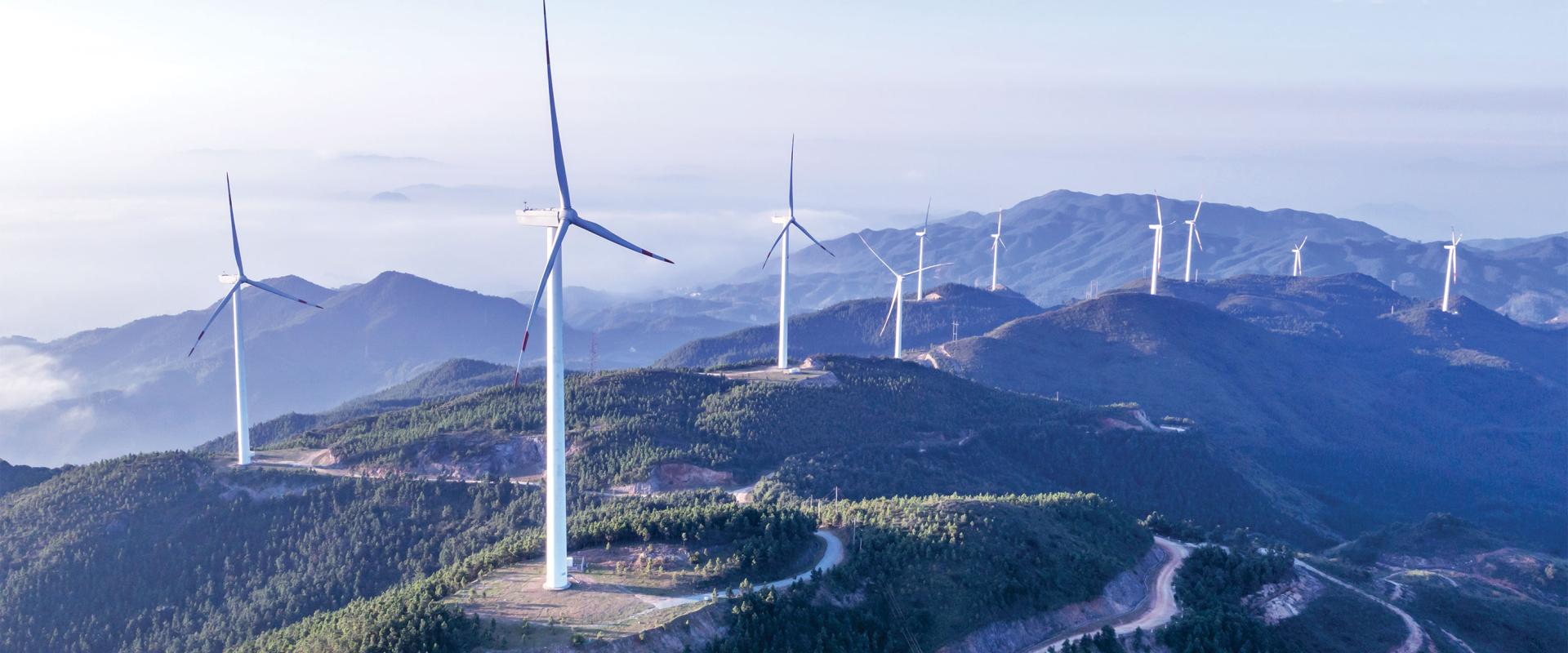 Services banner image