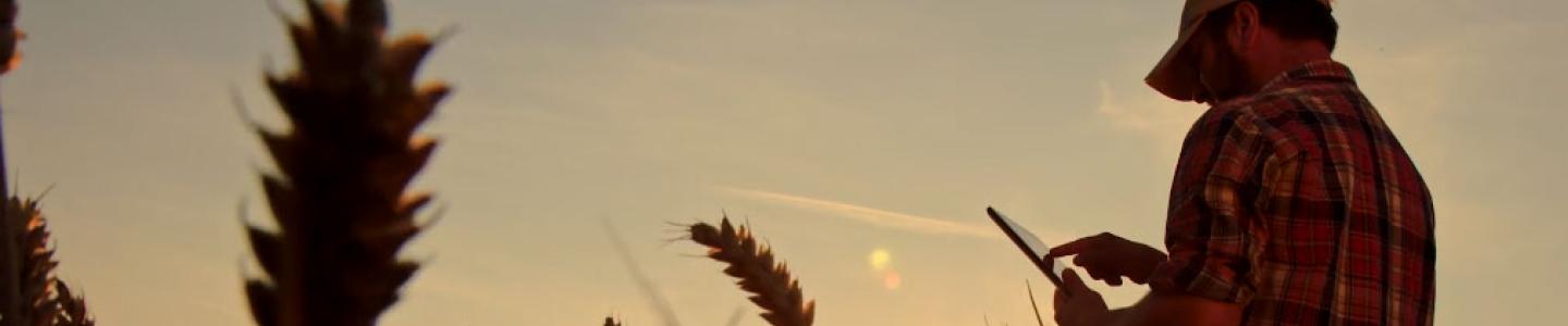 Reimagine satellite networks video banner