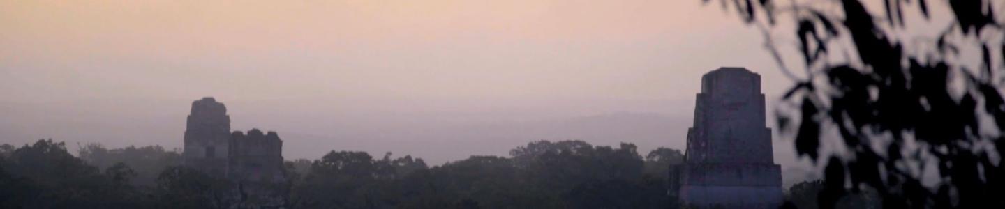 Telco video banner