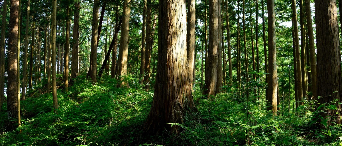 SES_Satellite_Stories_Podcast_Ultra_HD