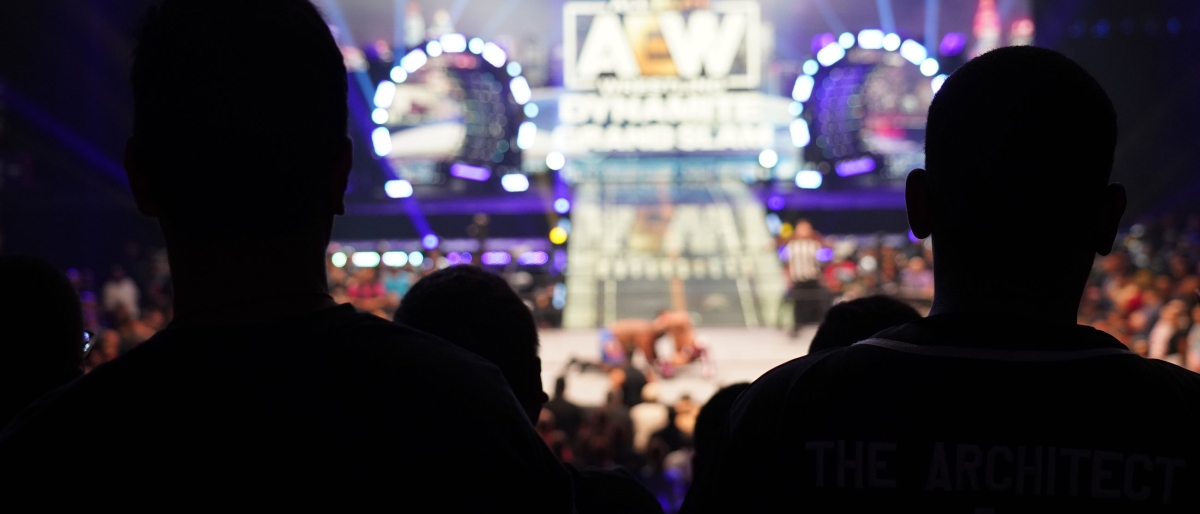 Silhouettes watching a wrestling match from the audience