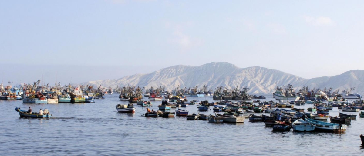 Image of multiple boats gathered in a calm bay.
