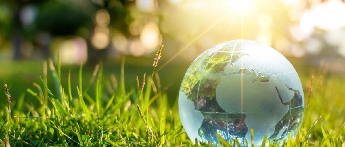 Image of a glass Earth globe resting in sunlit grass.