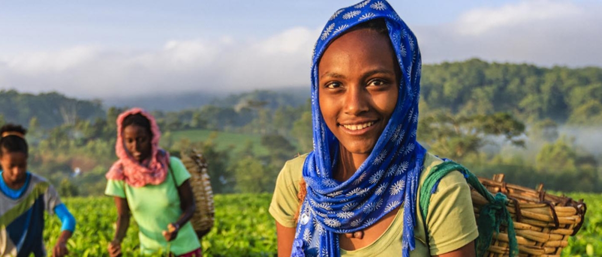 Workers carrying woven baskets while walking through a hillside farm.