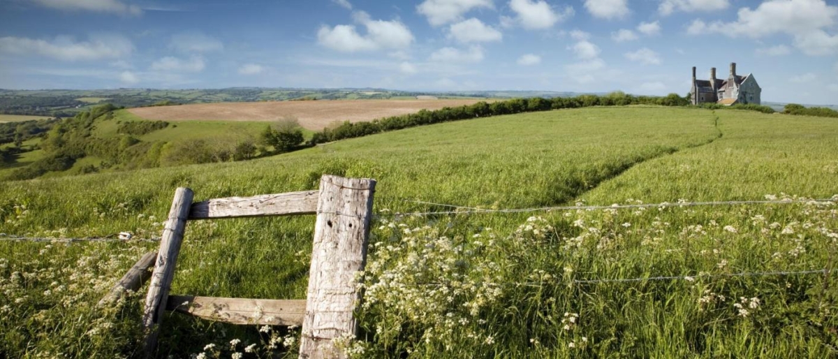 Landscape image of greenery and blue sky