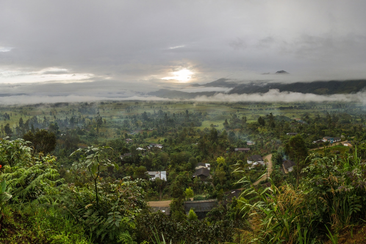 SES_Press_Release_IMS_image