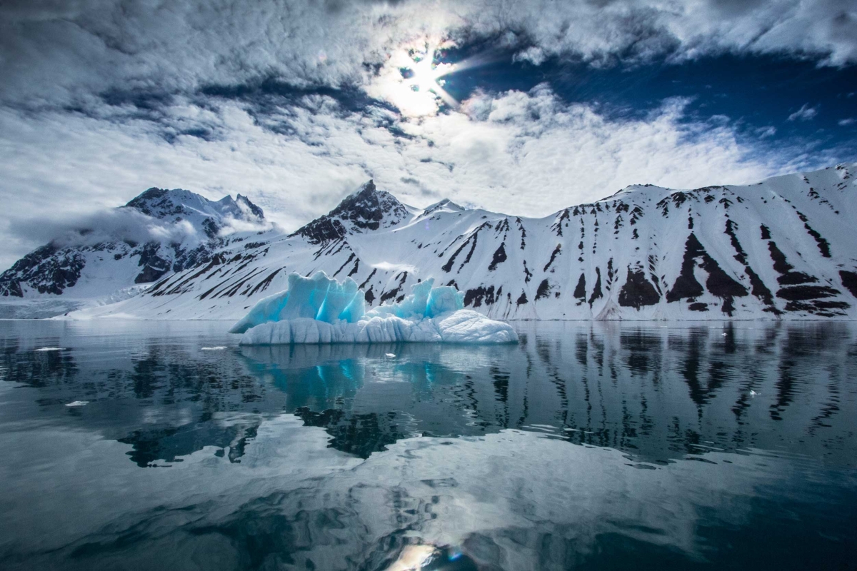 SES_Blog_climate_activism_banner_image