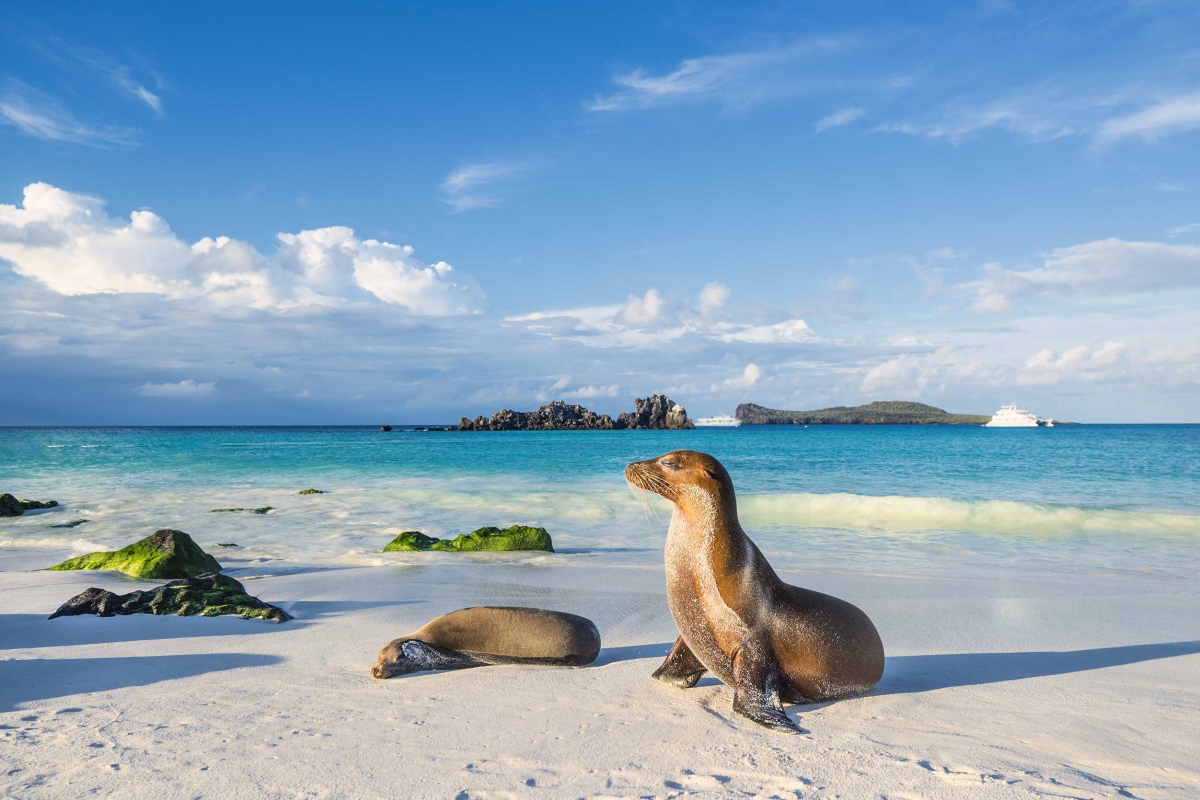 SES-Satellite-Stories-Podcast-CNT-Part1