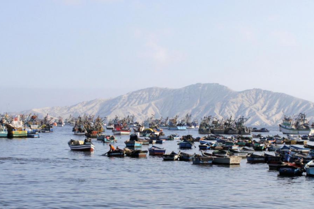 Image of multiple boats gathered in a calm bay.