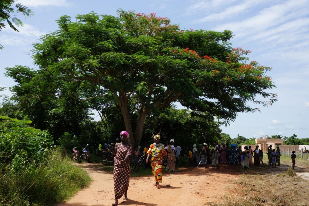 Group of women walking next to a tree 