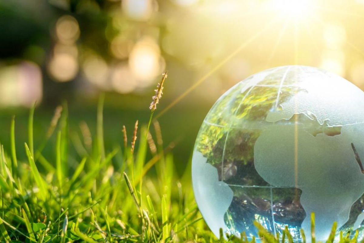 Image of a glass Earth globe resting in sunlit grass.