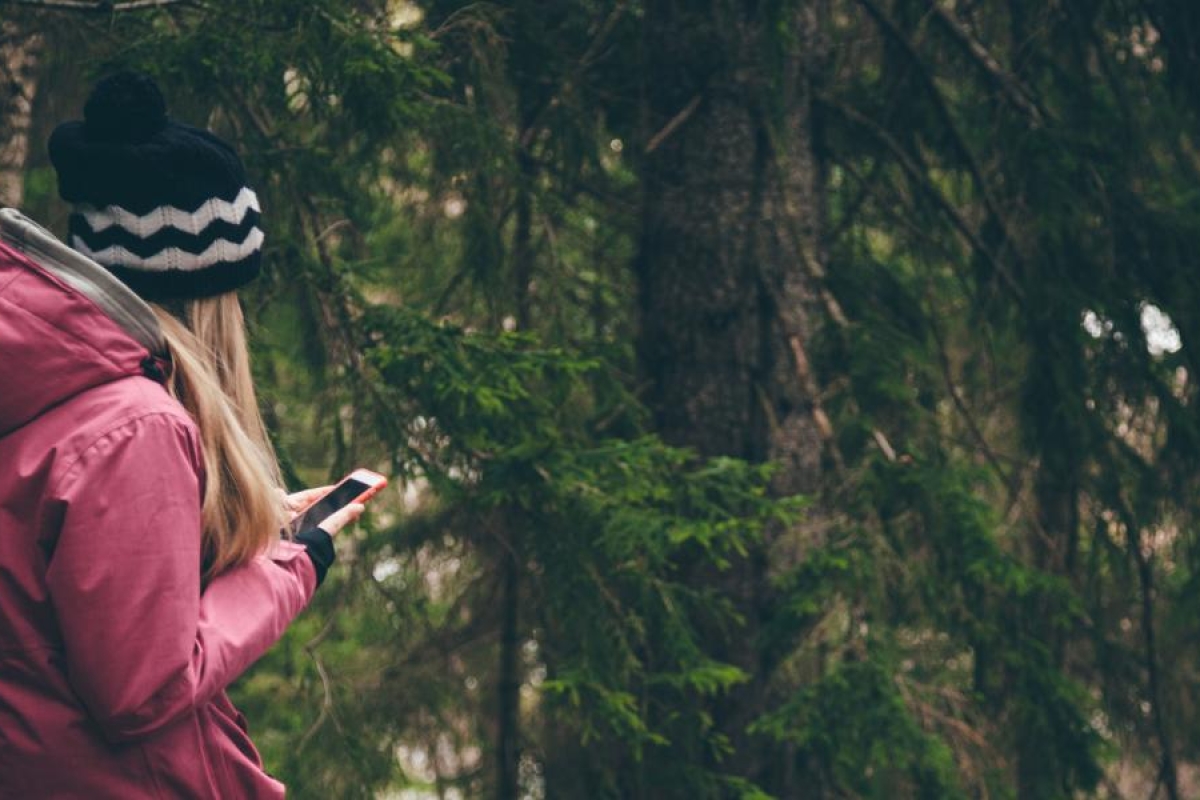 Image of a person using mobile phone in the woods.
