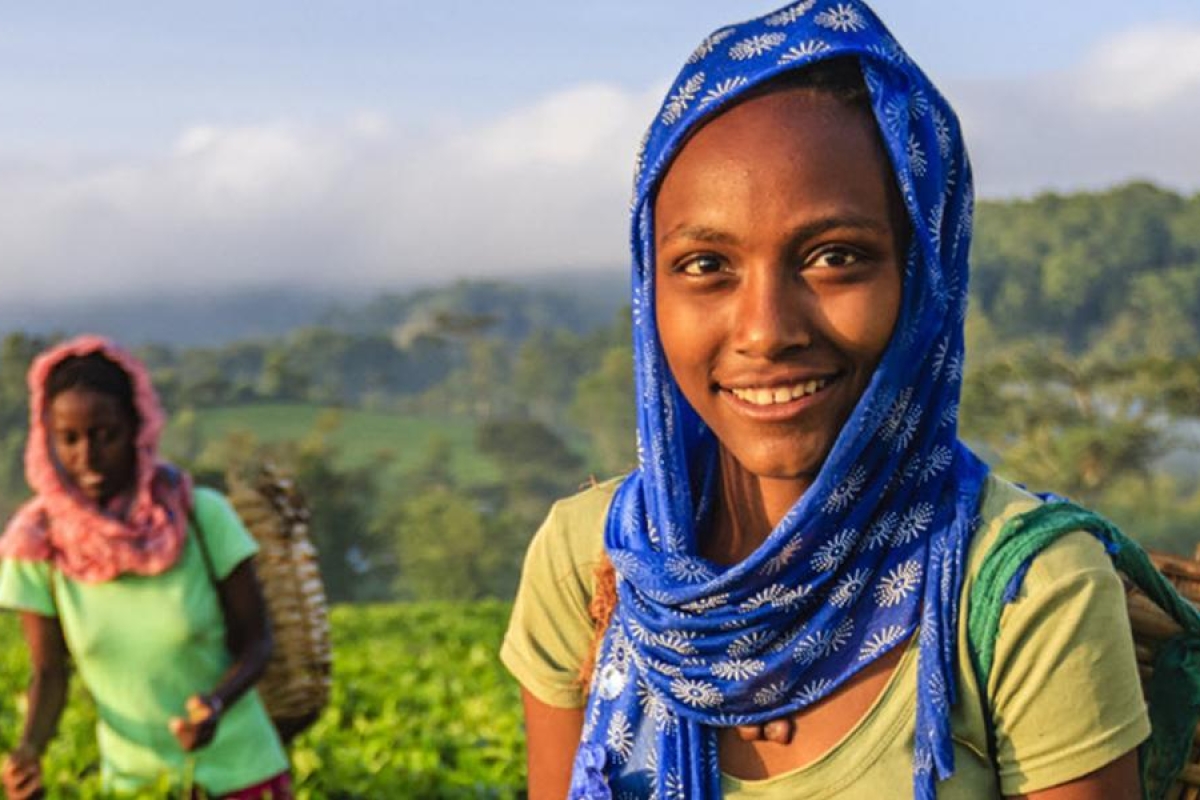 Workers carrying woven baskets while walking through a hillside farm.