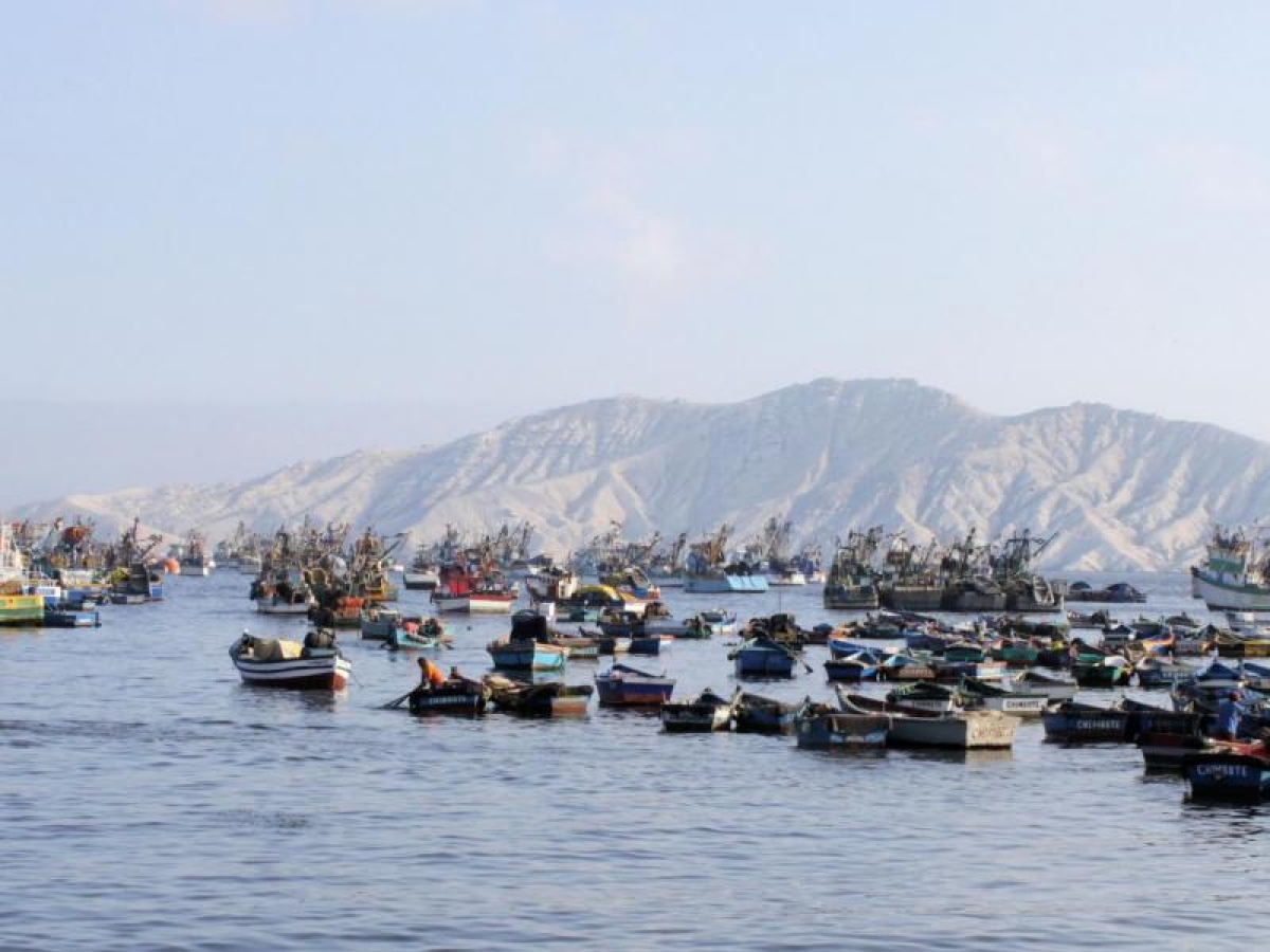 Image of multiple boats gathered in a calm bay.