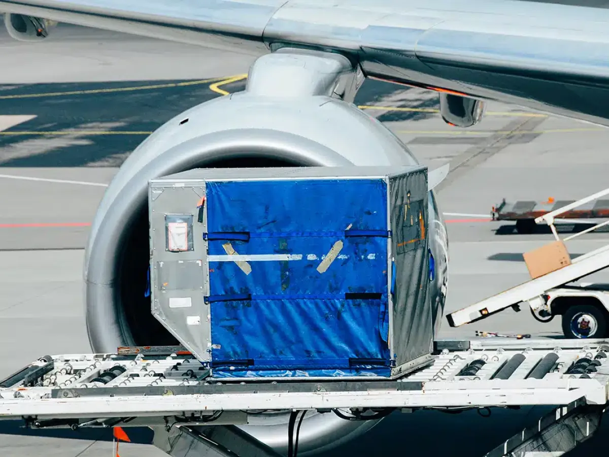 Portable conveyer belt transfering cargo