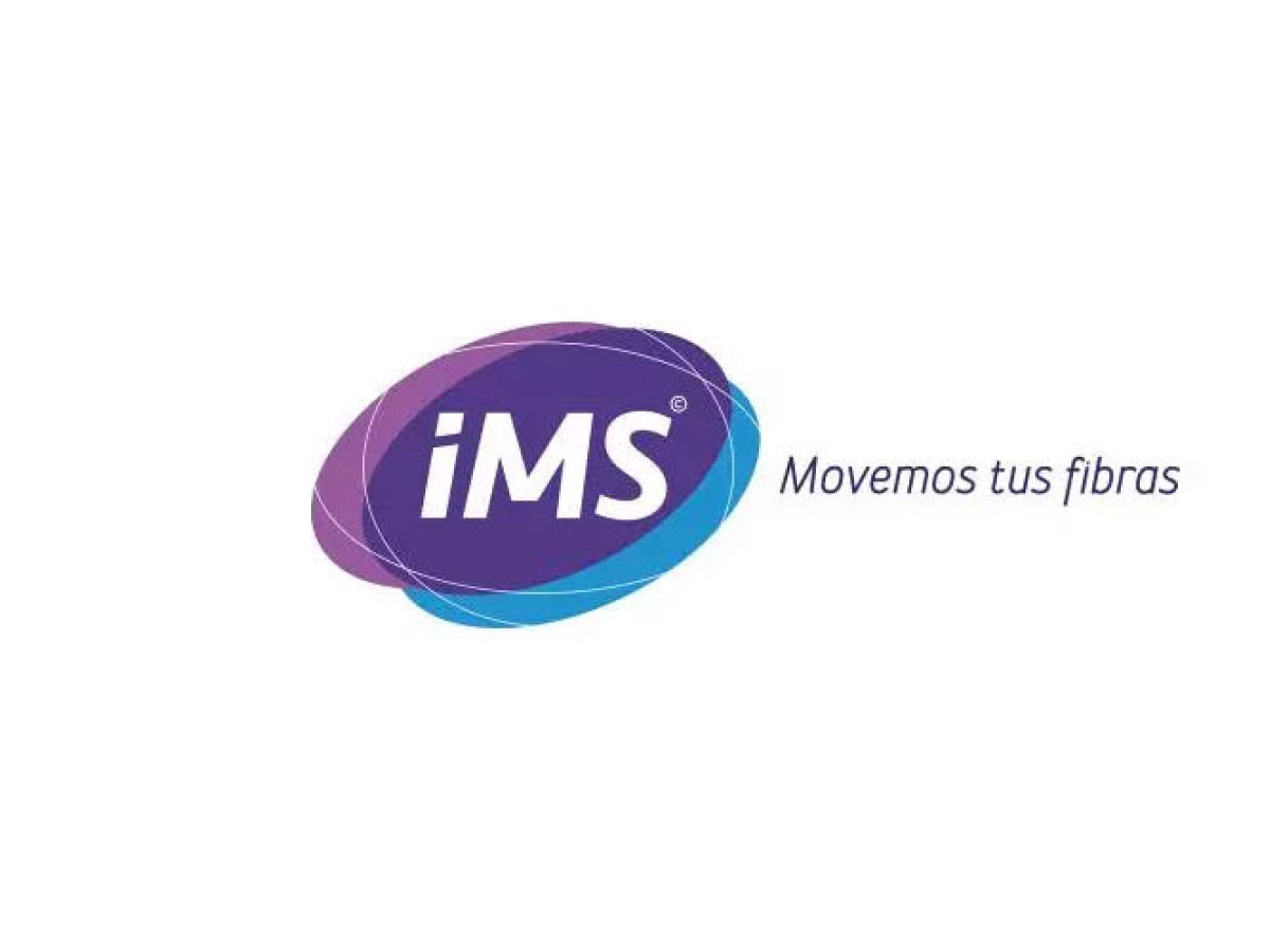 IMS Logo