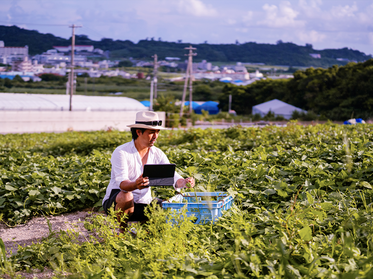 Researcher collecting data at farm