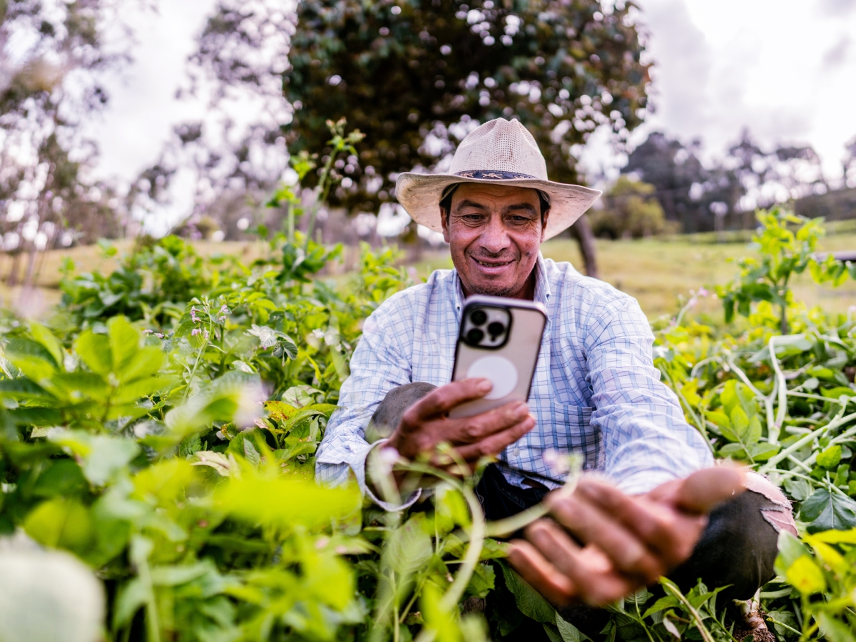 Man using a mobile phone in an agricultural field